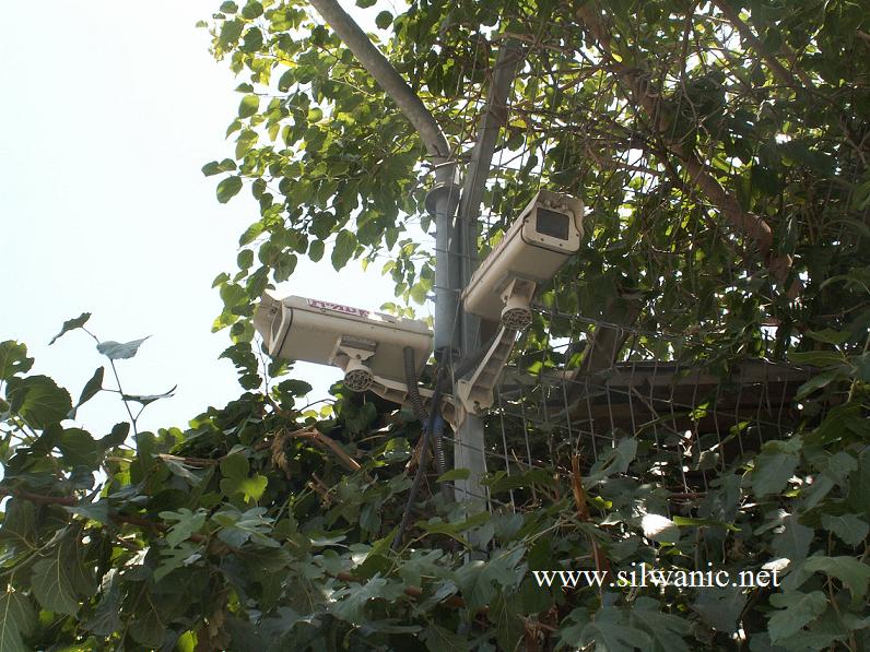 cameras