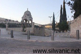 awaqaf3