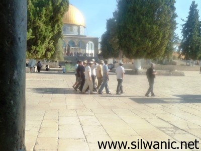 aqsa 24-7 (42)