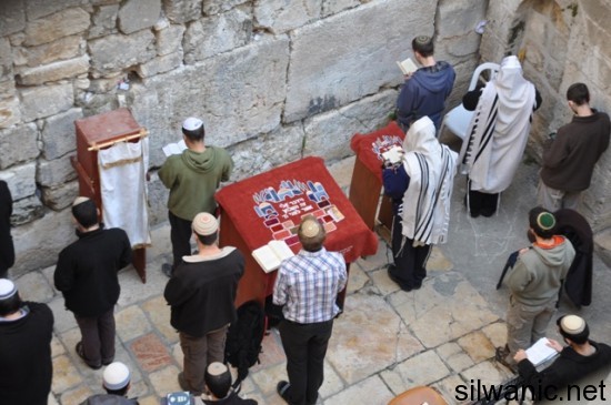 صلاة للمتطرفين 3