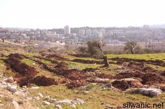 تجريف شعفاط (2)