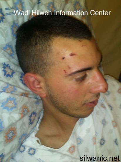 سلطان ابو الحمص 5