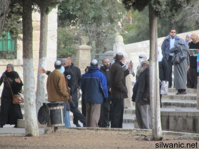 الاقصى تصوير سيدة
