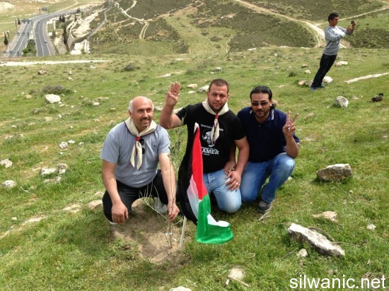 العيسوية 3