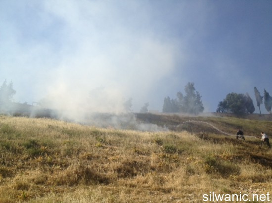 احتراق وادي الربابة