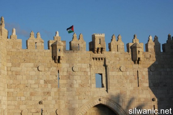 باب العامود