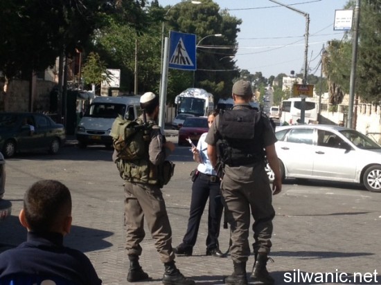 مخالفات الطور