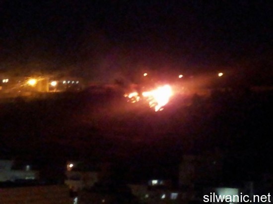 249058_171695482995798_1292365862_n