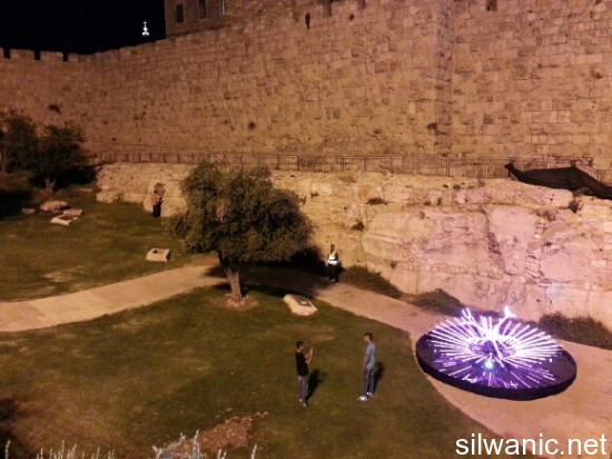 المهرجان