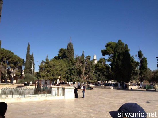 995694_244287349029191_723172829_n