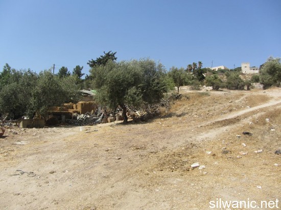 أرض الانصاري