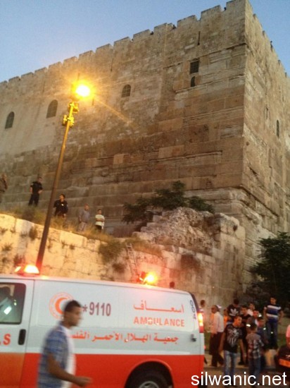 1002346_507112642697052_2046877299_n