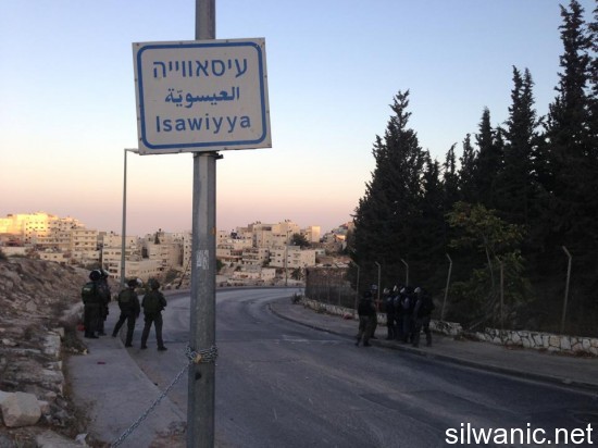 1170773_488351064594355_561587603_n