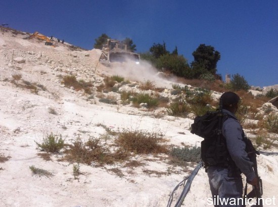 اراضي الطور تجريفها