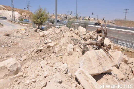 اشجار العيسوية تجريف