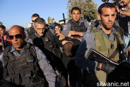 اعتقال باب العامود