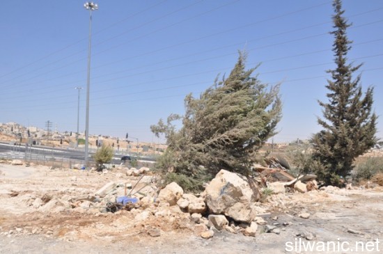 تخليع اشجار