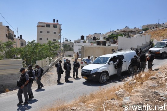 هدم ابو سبينتن