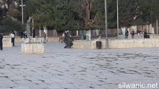 الاقصى قوات