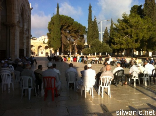 1170956_254167258041200_2144960544_n