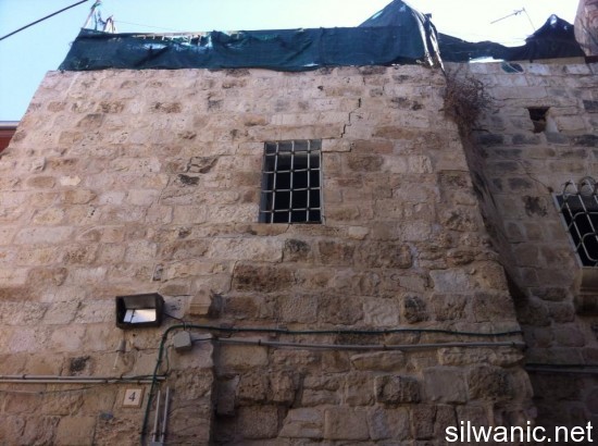 1175638_10151854210309511_242331509_n