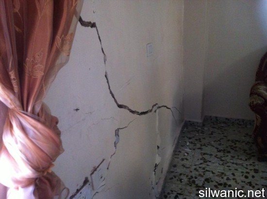 1184968_10151854210069511_658955189_n