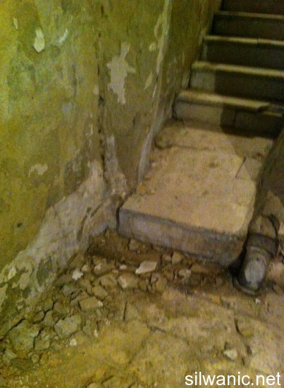 1185029_502974893125624_741927635_n