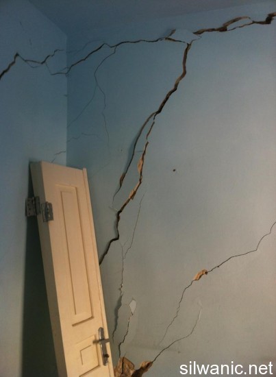 1186933_10151854207434511_930383000_n