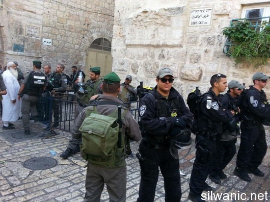 1209167_414182218683389_784823132_n