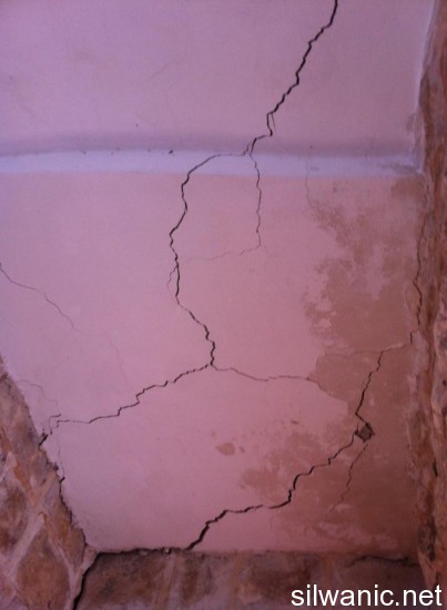 1209299_10151854206759511_841636789_n