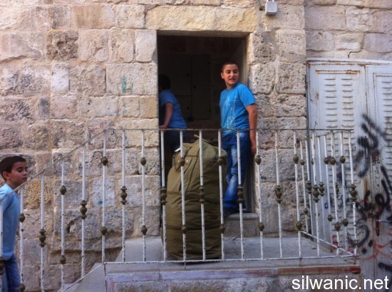 1230053_10151854300599511_1412528975_n