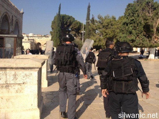 1233338_256640907793835_864734162_n