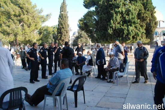 1234301_256639447793981_1820642798_n