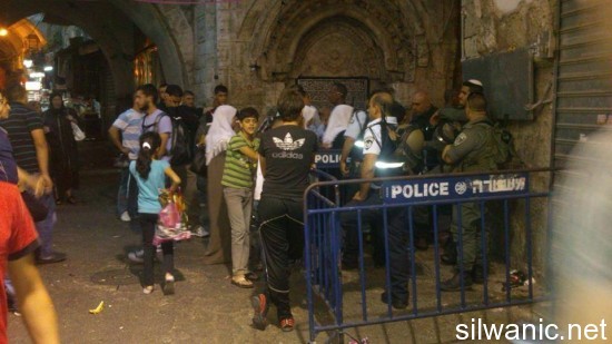 1238062_500137086749396_996527627_n