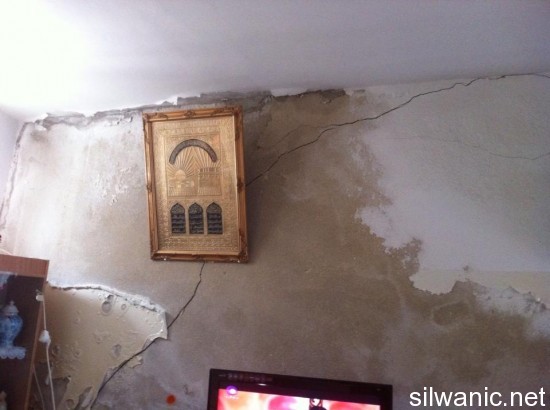 1238178_10151854210144511_1542951240_n