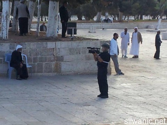 1239558_504623049634133_1588044899_n