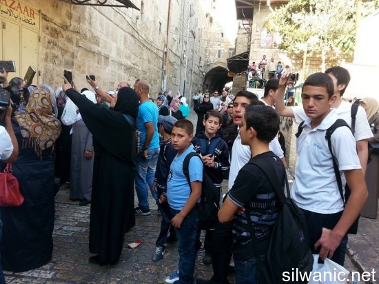 556519_414182162016728_163710367_n