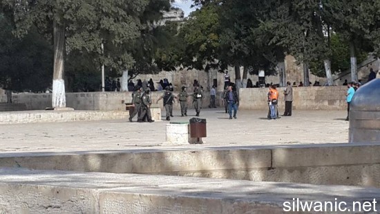 559822_257890844335508_1012917481_n