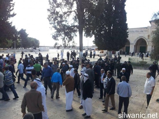 73605_504622932967478_794316080_n