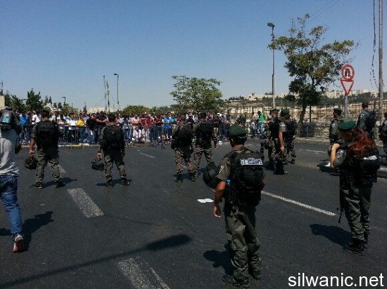 الاقصى شوارع 3