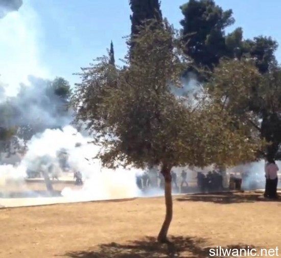 صور الاقصى قنابل