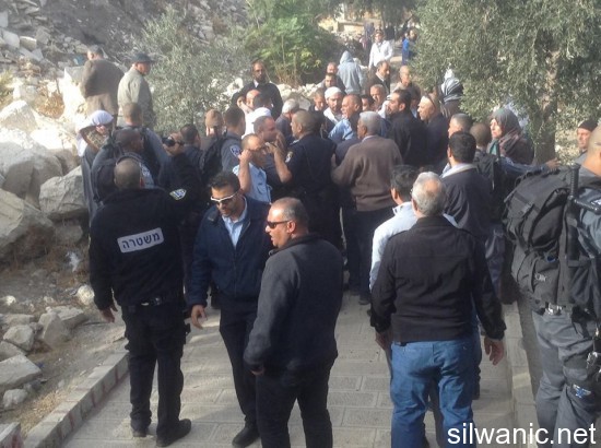 1476025_548710381879735_980722546_n