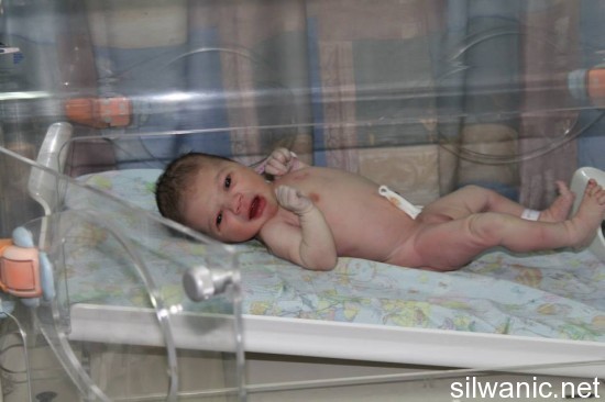 960259_10152094048333921_1038688459_n