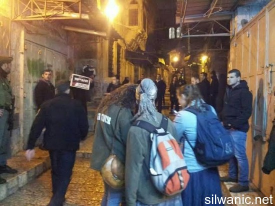 مسيرة للمستوطنين 2