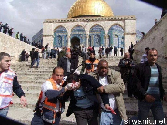 1558502_284459248345334_1160224930_n