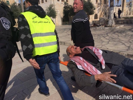 1796475_284455051679087_1853641507_n