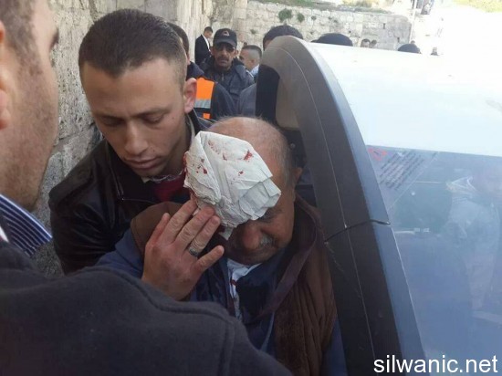 1907586_284459221678670_360820423_n