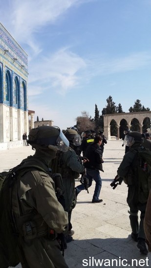 999777_10202658956213629_1529701790_n