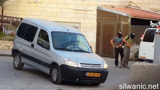 10003516_668925979817219_1871540091_n