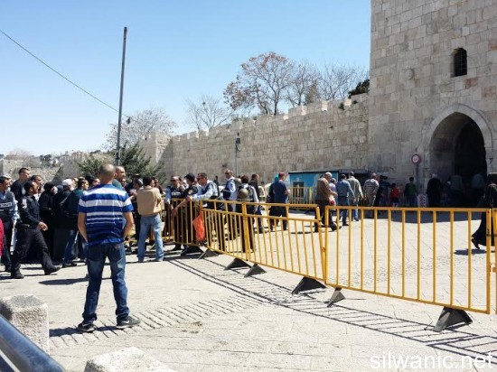 باب الساهرة